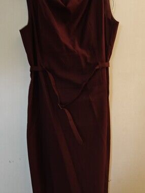 Ann Taylor Draped Cowl Neck Belted Dress Burgundy Size 18